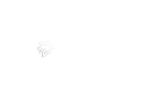 Node Nexus Network